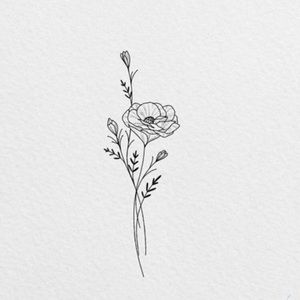 Meet your Posher, Alicia